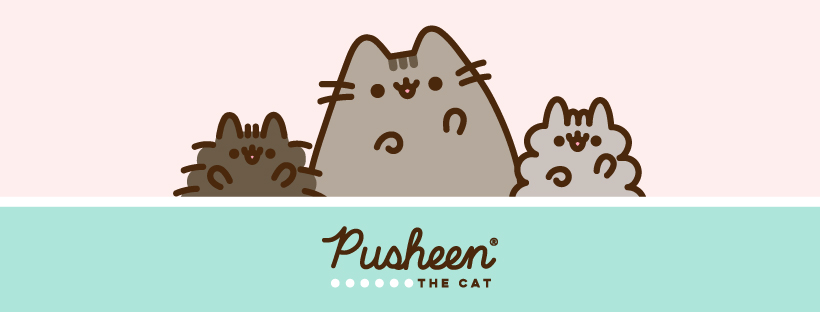 Soft, Sweet, and Seriously Collectible: The Rise of Pusheen Plush Culture